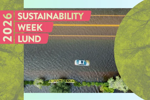 A car in water from above. Photo.