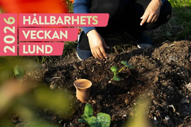 Händer som påtar i jord. Foto.