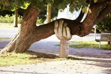 A big wooden hand is supporting a low hanging tree branch. Photo.